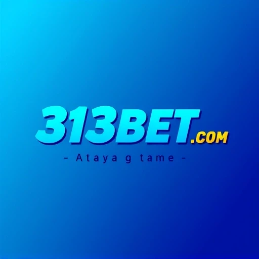 313BET.COM